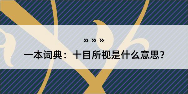 一本词典：十目所视是什么意思？