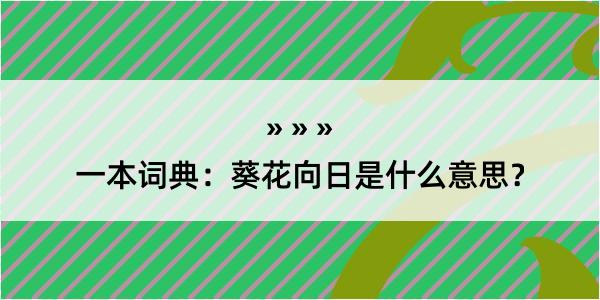 一本词典：葵花向日是什么意思？