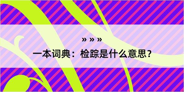 一本词典：检踪是什么意思？