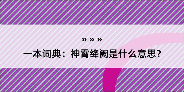 一本词典：神霄绛阙是什么意思？