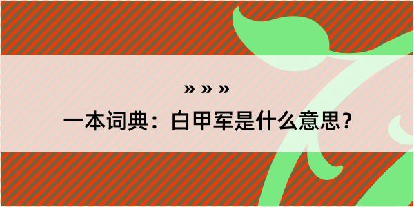 一本词典：白甲军是什么意思？