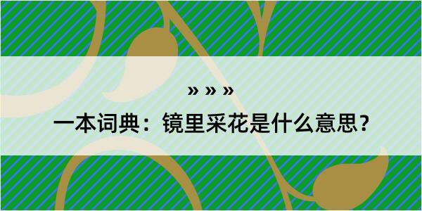 一本词典：镜里采花是什么意思？