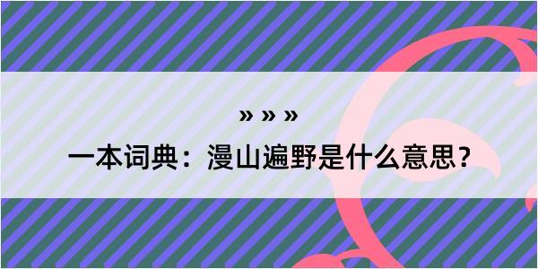 一本词典：漫山遍野是什么意思？