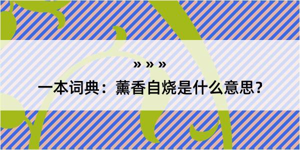 一本词典：薰香自烧是什么意思？