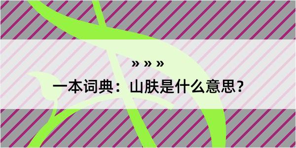 一本词典：山肤是什么意思？