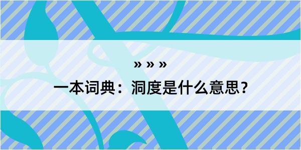 一本词典：洞度是什么意思？