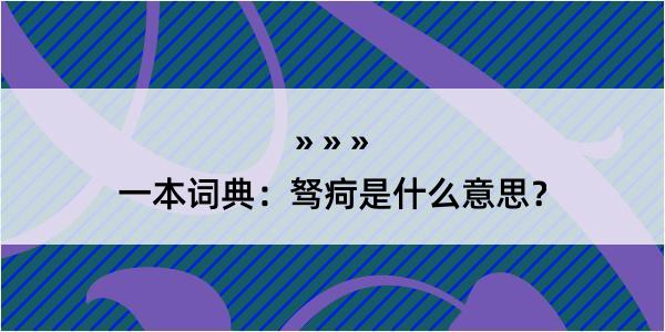 一本词典：驽疴是什么意思？