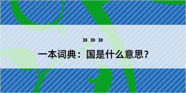 一本词典：国是什么意思？