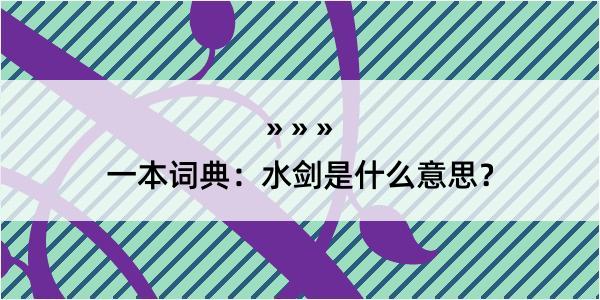 一本词典：水剑是什么意思？