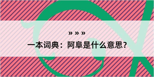 一本词典：阿阜是什么意思？