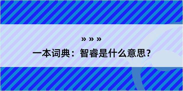 一本词典：智睿是什么意思？