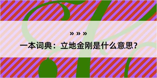 一本词典：立地金刚是什么意思？