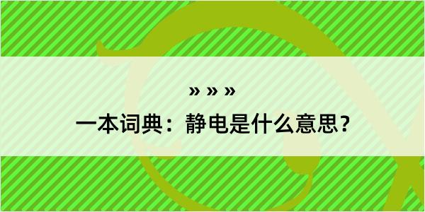 一本词典：静电是什么意思？