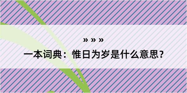 一本词典：惟日为岁是什么意思？