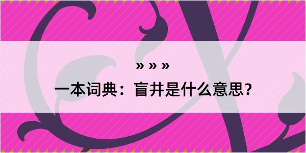 一本词典：盲井是什么意思？