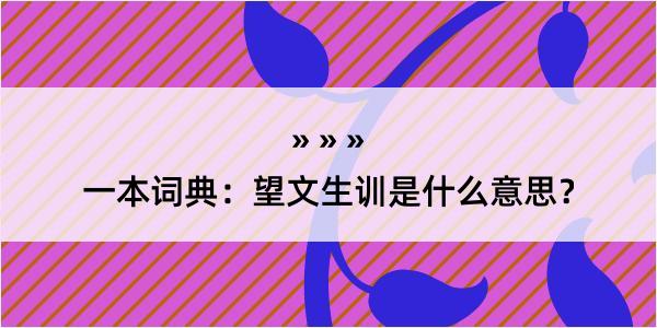 一本词典：望文生训是什么意思？