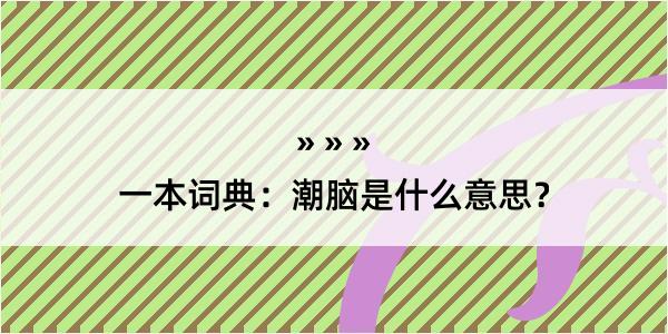 一本词典：潮脑是什么意思？