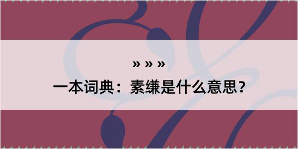 一本词典：素缣是什么意思？