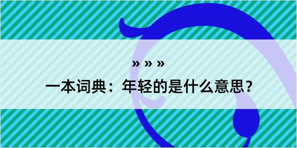 一本词典：年轻的是什么意思？