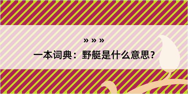 一本词典：野艇是什么意思？