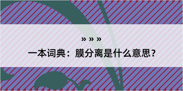 一本词典：膜分离是什么意思？