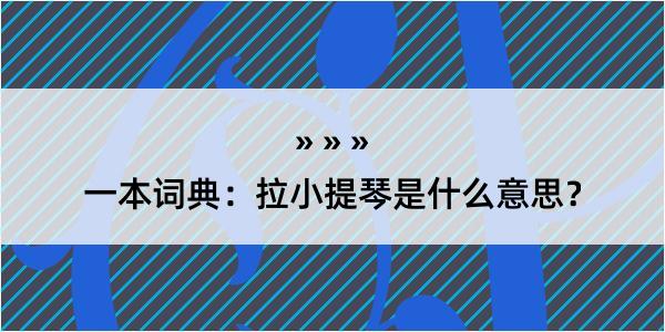 一本词典：拉小提琴是什么意思？