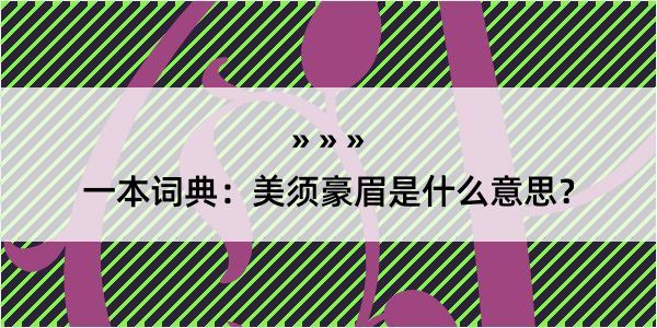 一本词典：美须豪眉是什么意思？