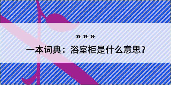 一本词典：浴室柜是什么意思？