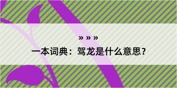 一本词典：驾龙是什么意思？