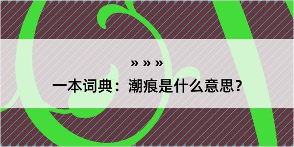 一本词典：潮痕是什么意思？