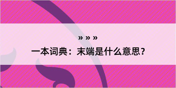 一本词典：末端是什么意思？