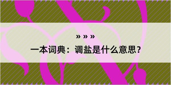 一本词典：调盐是什么意思？