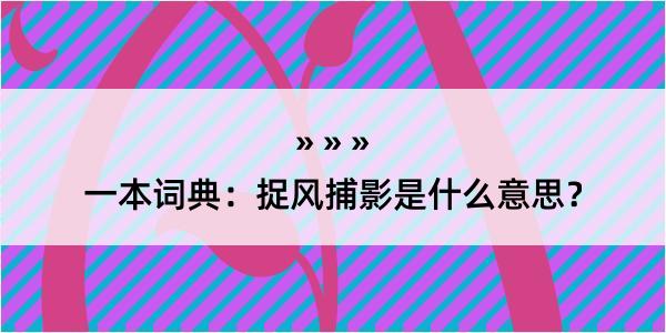 一本词典：捉风捕影是什么意思？