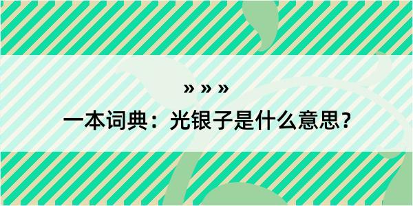 一本词典：光银子是什么意思？