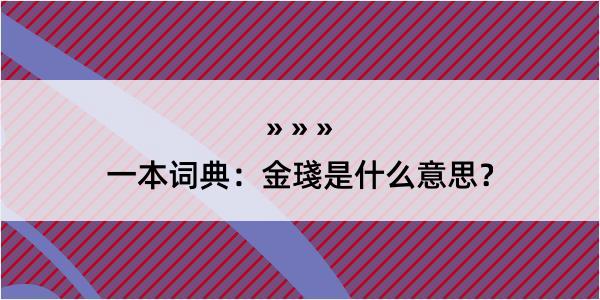 一本词典：金琖是什么意思？