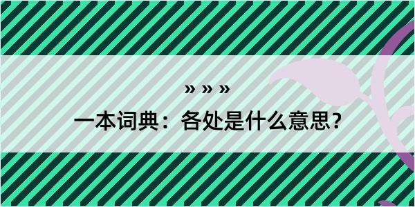 一本词典：各处是什么意思？