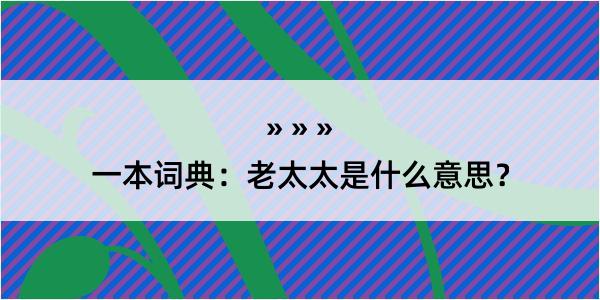 一本词典：老太太是什么意思？