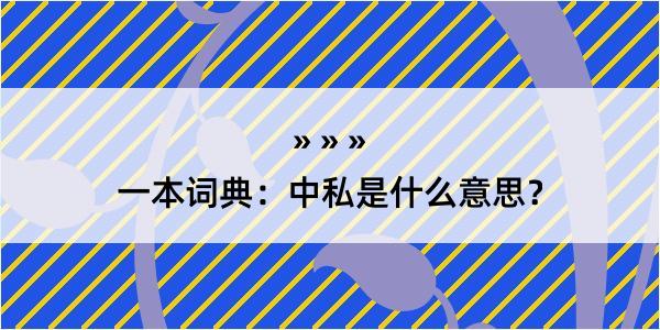 一本词典：中私是什么意思？