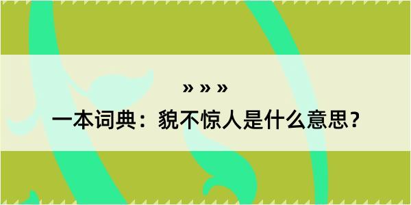 一本词典：貌不惊人是什么意思？