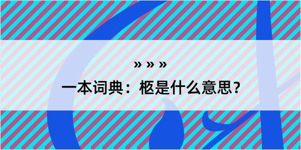 一本词典：柩是什么意思？