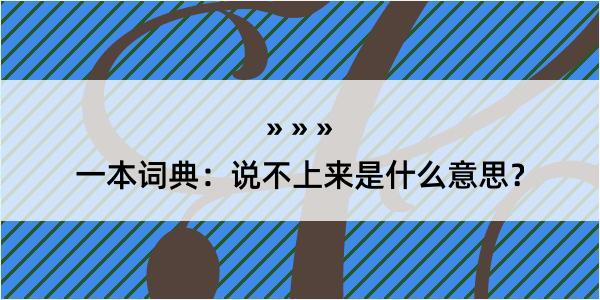 一本词典：说不上来是什么意思？