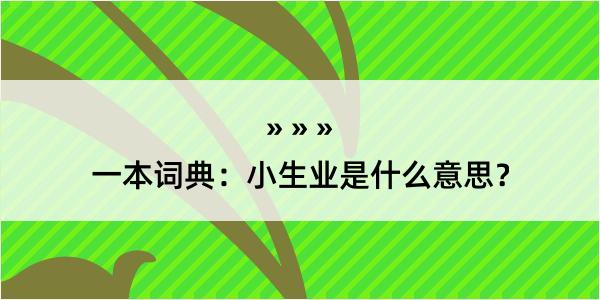 一本词典：小生业是什么意思？