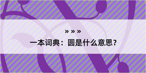 一本词典：圆是什么意思？