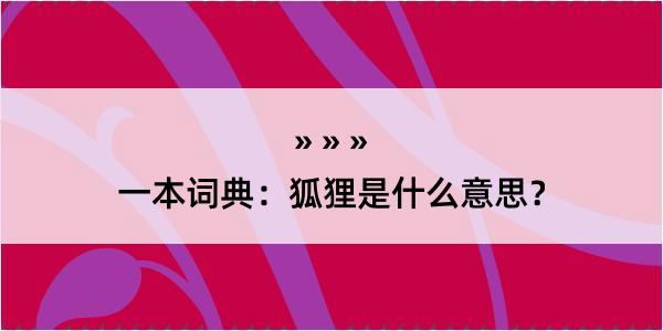 一本词典：狐狸是什么意思？