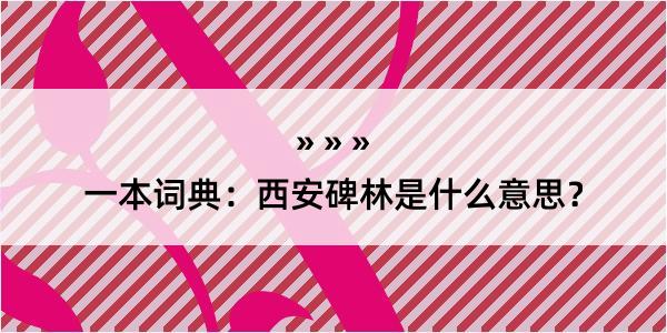 一本词典：西安碑林是什么意思？