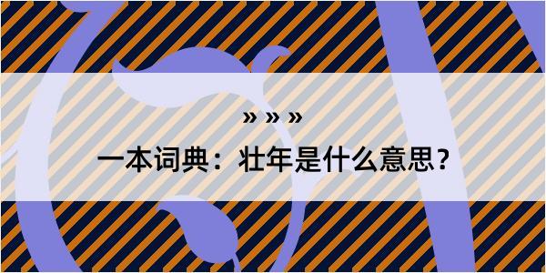 一本词典：壮年是什么意思？