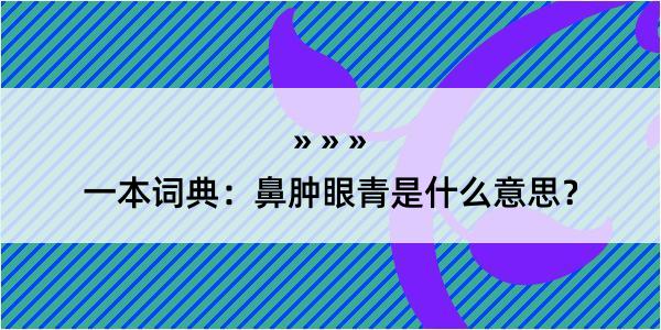 一本词典：鼻肿眼青是什么意思？