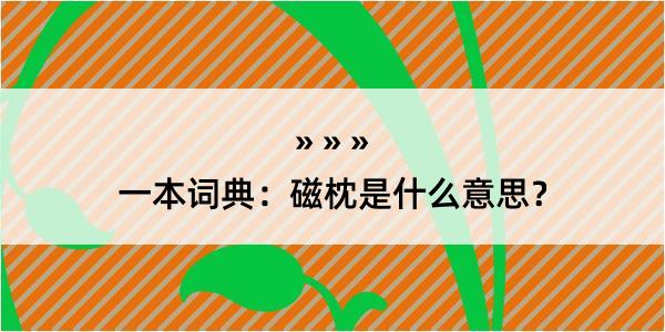 一本词典：磁枕是什么意思？