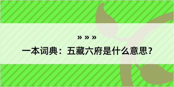 一本词典：五藏六府是什么意思？