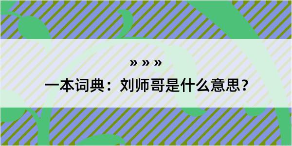 一本词典：刘师哥是什么意思？